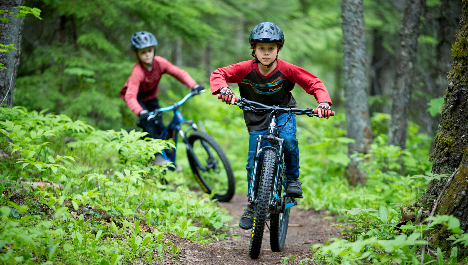 Bike trails for online kids